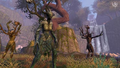 Warhammer Online: Age of Reckoning (DVD-ROM) thumbnail 5