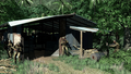 Crysis Warhead (DVD-ROM) thumbnail 3