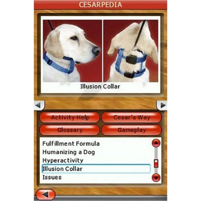 Cesar Millan's Dog Whisperer image 6