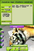 Zoo Vet: Endangered Animals thumbnail 5