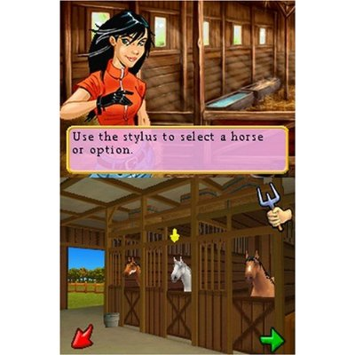 Ener-G Horse Rider image 3