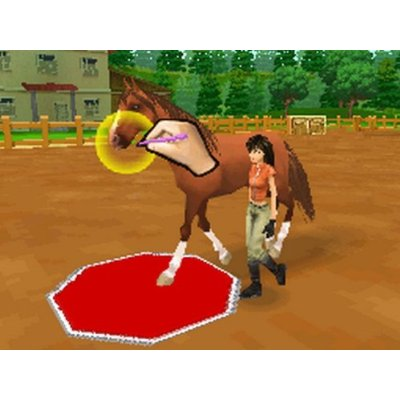 Ener-G Horse Rider image 5