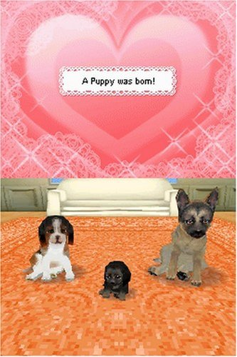 Petz Dogz Pack image 4