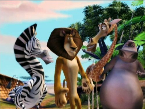 Madagascar 2: Escape 2 Africa image 8