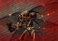 The Conduit thumbnail 10
