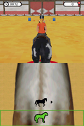 Dreamer Series: Horse Trainer thumbnail 10