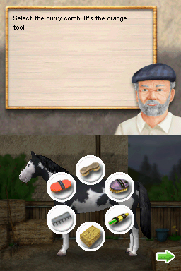 Dreamer Series: Horse Trainer image 6