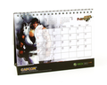 Street Fighter IV (w/ Bonus DVD & Calendar) thumbnail 3