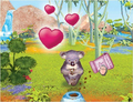 Pet Vet Down Under thumbnail 5