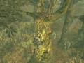 Metal Gear Solid 3 Snake Eater thumbnail 11