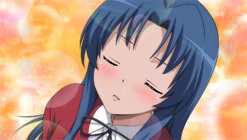 ToraDora Portable! image 3