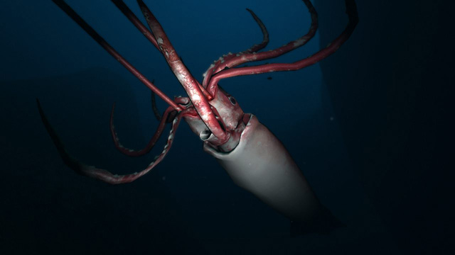 Aquanaut's Holiday image 5