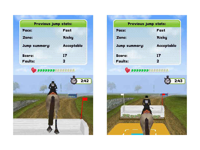 My Horse and Me: Riding for Gold image 4