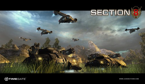 Section 8 image 4