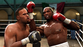 Fight Night Round 4 thumbnail 8