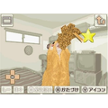 Hamster to Kurasou (Best Price) thumbnail 5