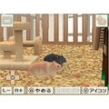 Hamster to Kurasou (Best Price) thumbnail 6