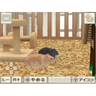 Hamster to Kurasou (Best Price) image 6