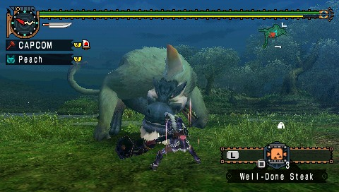 Monster Hunter Freedom Unite image 11