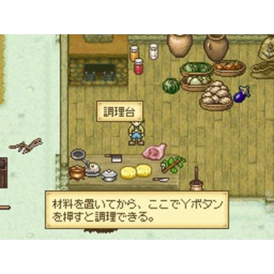 Hakoniwa Seikatsu: Hitsuji Mura DS (Good Price!) image 5