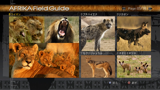 Hakuna Matata (English / Korean Version) image 12