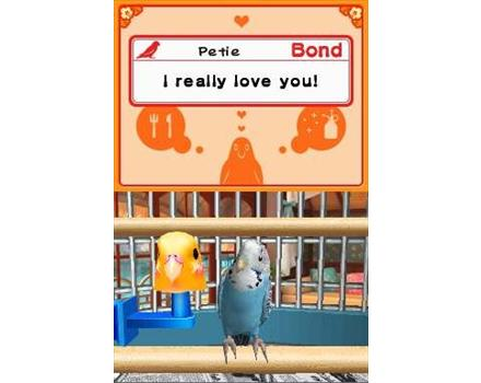Discovery Kids: Parrot Pals image 2