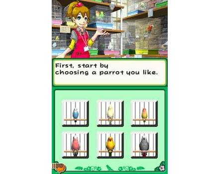 Discovery Kids: Parrot Pals image 3