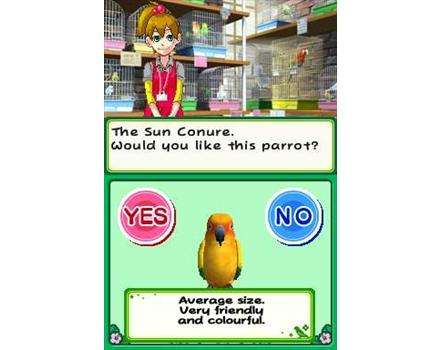 Discovery Kids: Parrot Pals image 4