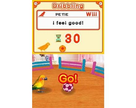 Discovery Kids: Parrot Pals image 6