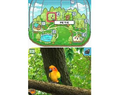 Discovery Kids: Parrot Pals thumbnail 7