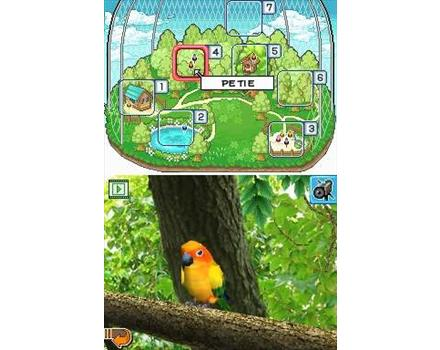 Discovery Kids: Parrot Pals image 7
