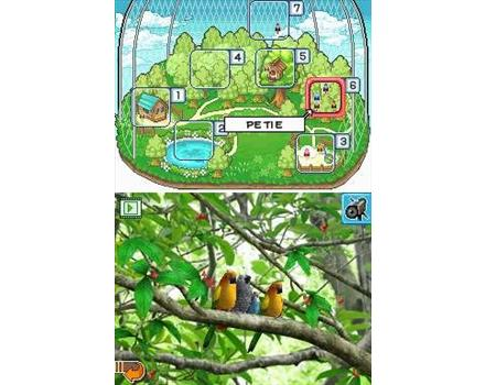 Discovery Kids: Parrot Pals image 8