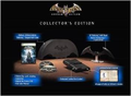 Batman: Arkham Asylum (Collector's Edition) thumbnail 12