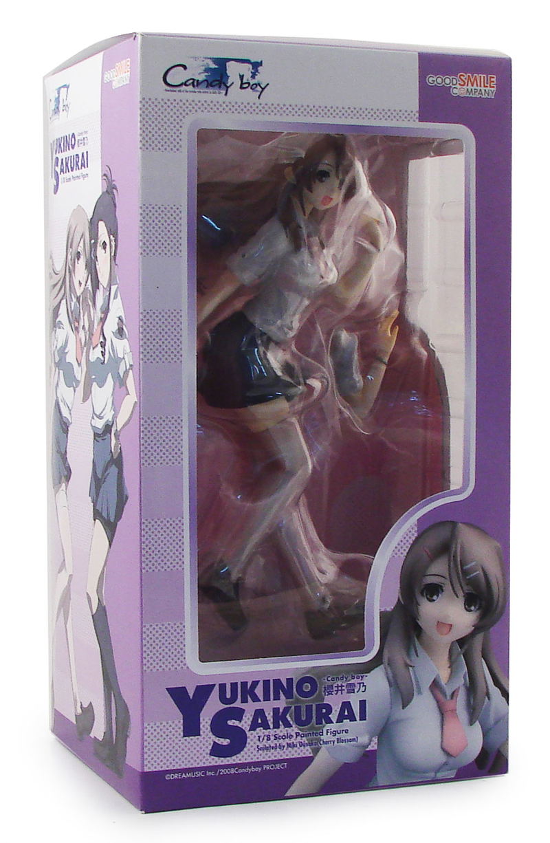 Candy Boy 1/8 Scale Pre-Painted PVC Figure: Sakurai Yukino image 6
