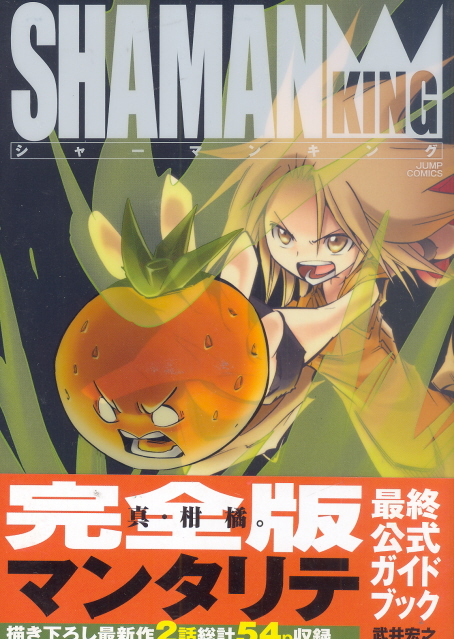 Shaman King: Complete Edition Final Official Guide Book - Mentalite image 1