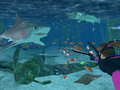 Shimano Xtreme Fishing thumbnail 4