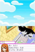 Kawaii Koneko DS 2 thumbnail 3