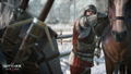 The Witcher 3: Wild Hunt thumbnail 2