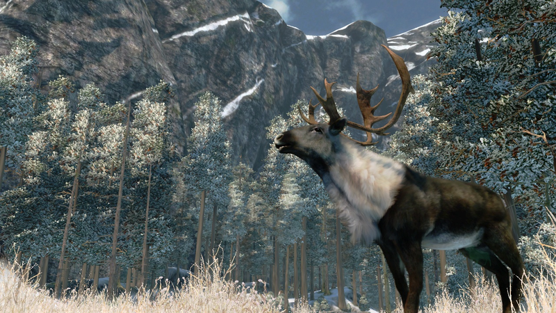 Cabela's Outdoor Adventure 2010 image 5