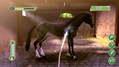 Petz Saddle Club thumbnail 4