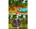 Paws & Claws Pet Vet: Australian Adventures thumbnail 4