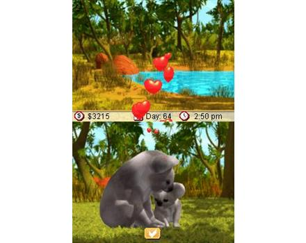 Paws & Claws Pet Vet: Australian Adventures image 4