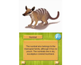 Paws & Claws Pet Vet: Australian Adventures thumbnail 6