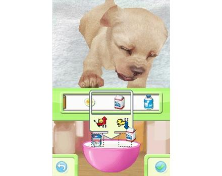 Petz Nursery image 2