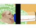 Petz Nursery thumbnail 3