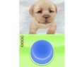 Petz Nursery thumbnail 4