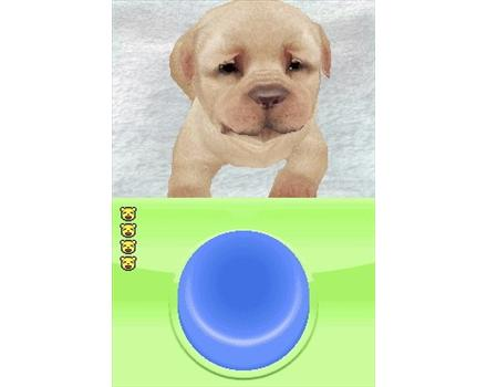 Petz Nursery image 4