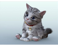 Petz Nursery thumbnail 6