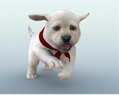 Petz Nursery thumbnail 8