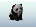 Petz Nursery thumbnail 9